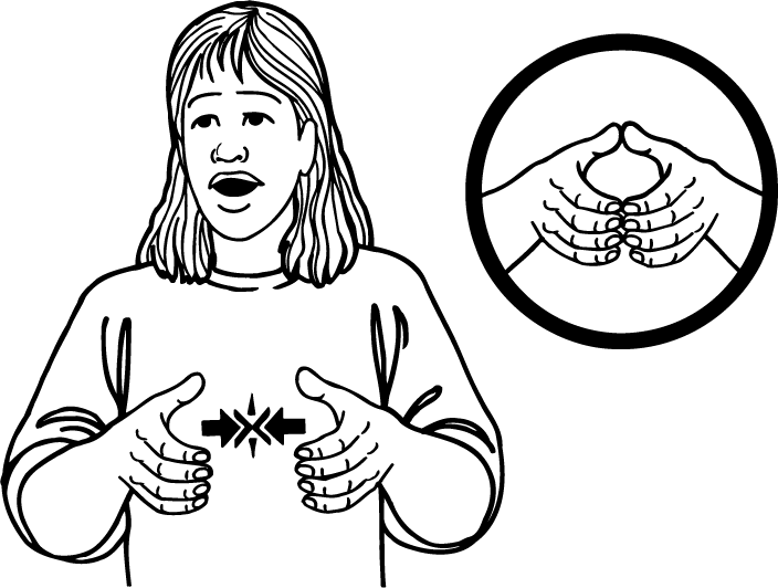 paua-4240-high_resolution.png - main