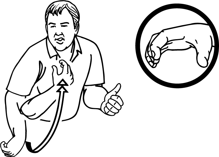 shear-4272-high_resolution.png - main