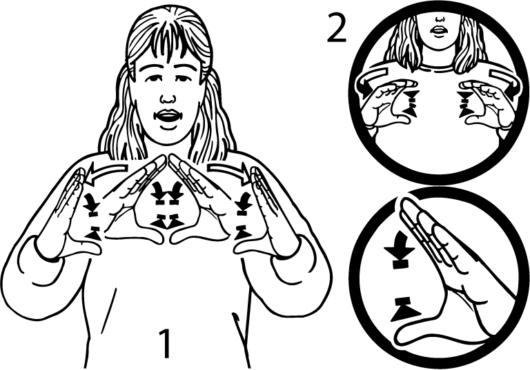 pavlova-4324-high_resolution.png - main