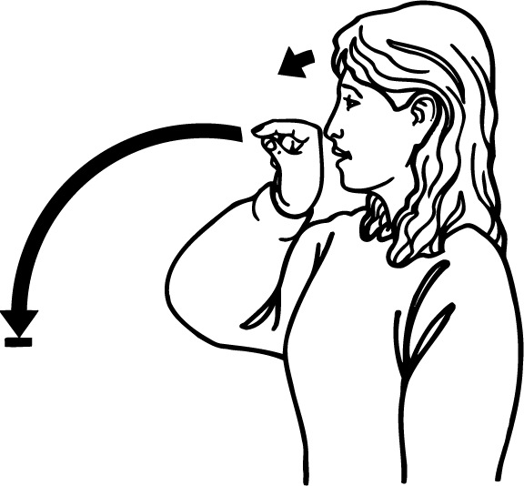 kiwi-4343-high_resolution.png - main