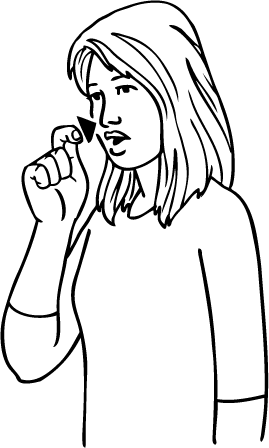 flower-4356-high_resolution.png - main