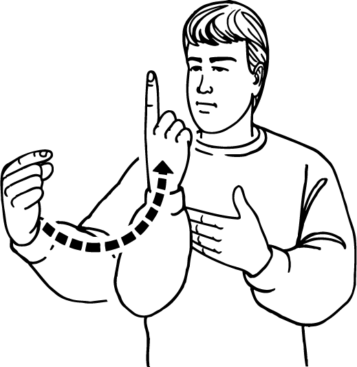 appear-4381-high_resolution.png - main