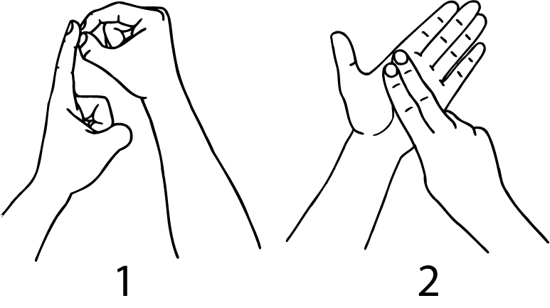 palmerston_north-4383-high_resolution.png - main