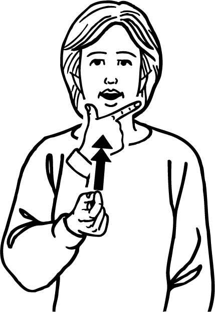 nuts-4410-high_resolution.png - main