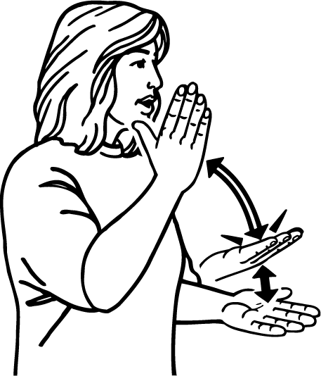 permanent-442-high_resolution.png - main