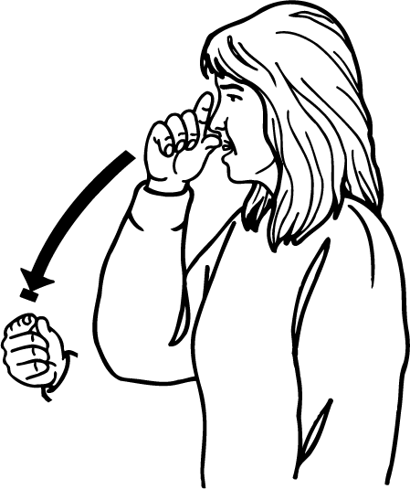 kiwi-4431-high_resolution.png - main