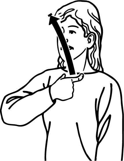 giraffe-4441-high_resolution.png - main