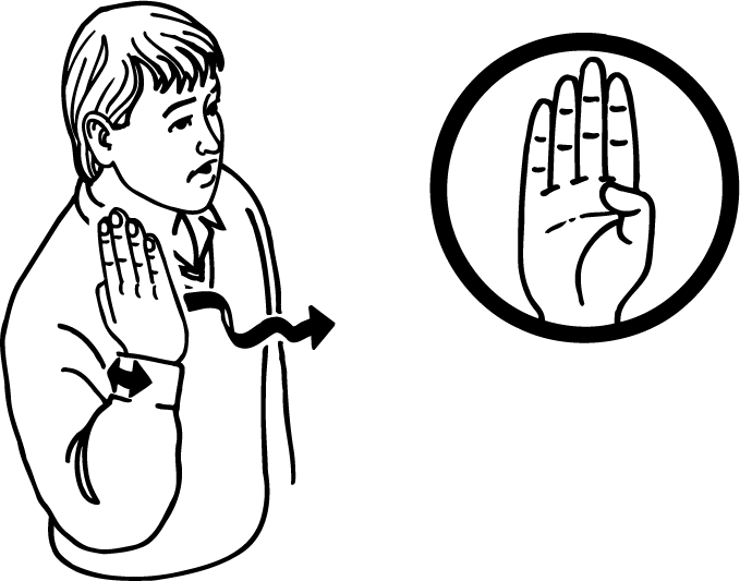 shark-448-high_resolution.png - main