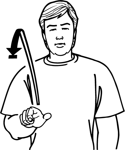 bridge-4483-high_resolution.png - main