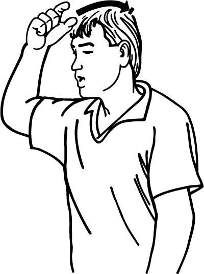 crew_cut-4495-high_resolution.png - main