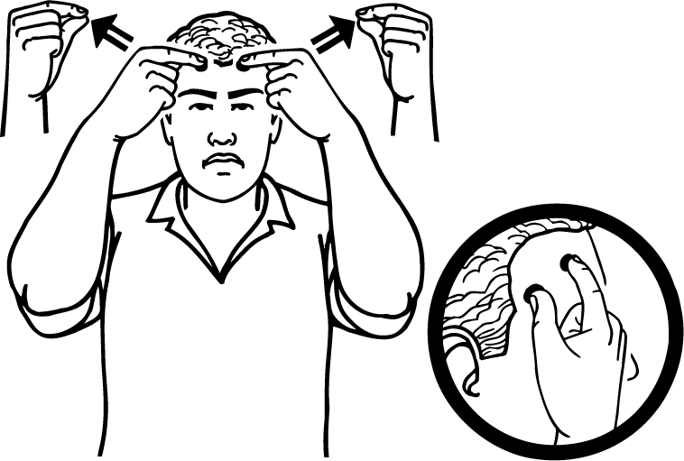 rat-4496-high_resolution.png - main