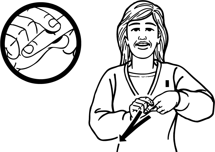 carrot-4521-high_resolution.png - main