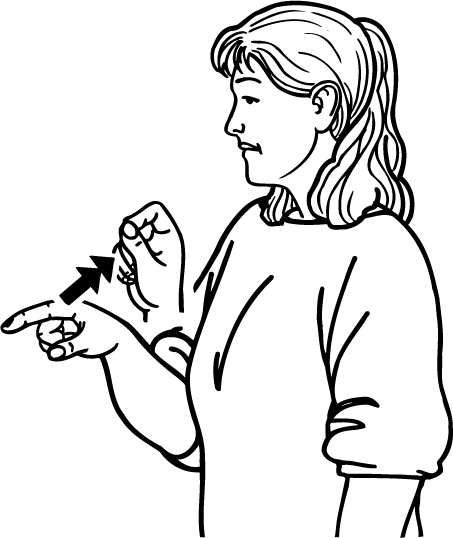 pick_on-4532-high_resolution.png - main