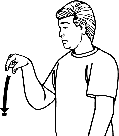 plug-4539-high_resolution.png - main