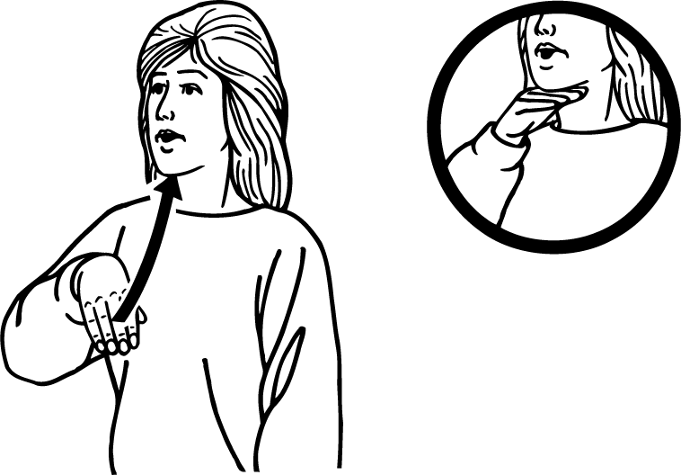 full-456-high_resolution.png - main