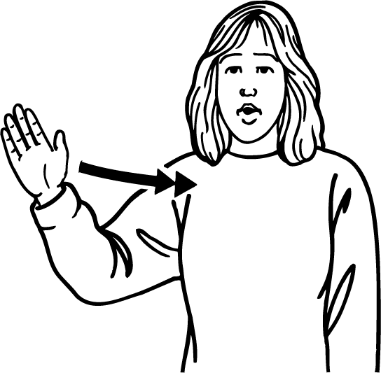 windy-461-high_resolution.png - main