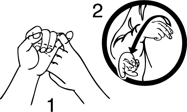 step-4630-high_resolution.png - main