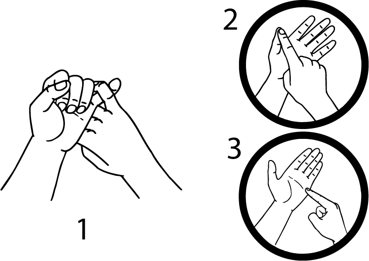 Saturday-4633-high_resolution.png - main