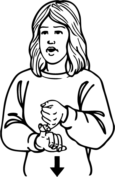 south-4635-high_resolution.png - main