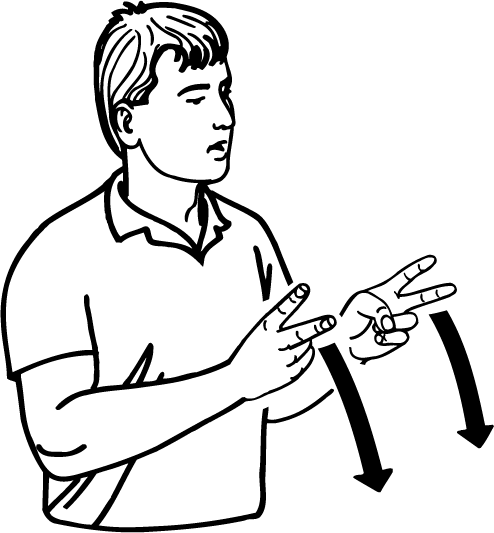 rest-4729-high_resolution.png - main