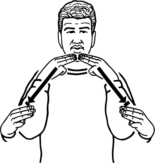 marae-4746-high_resolution.png - main