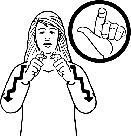 Beehive-4827-high_resolution.png - main