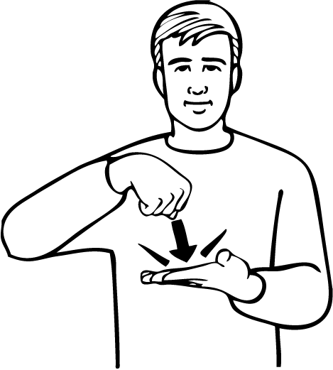 bottom-4862-high_resolution.png - main