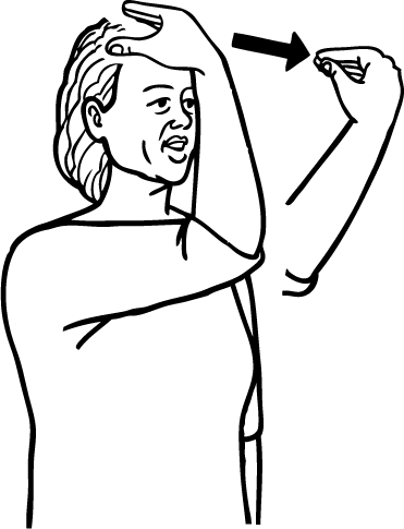 air_force-4898-high_resolution.png - main