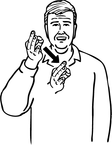 carrot-4902-high_resolution.png - main