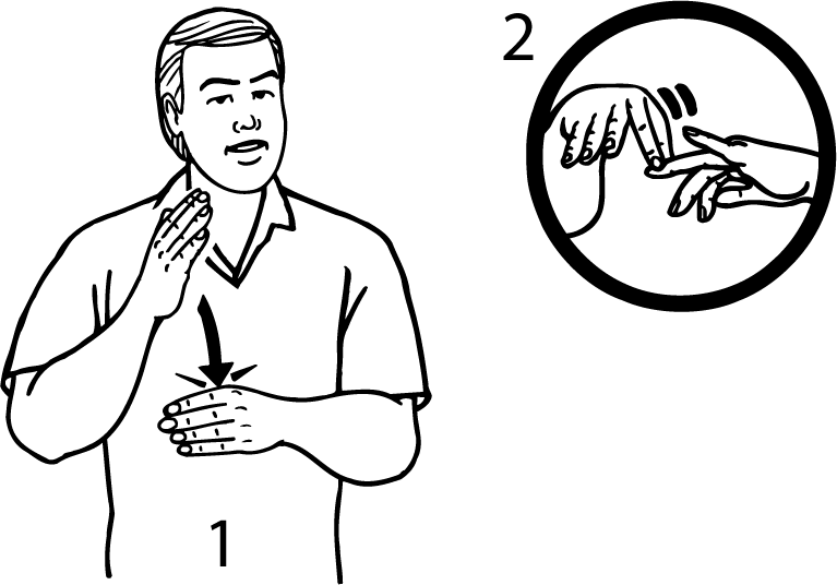 midwife-494-high_resolution.png - main