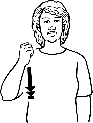 stamp-4989-high_resolution.png - main