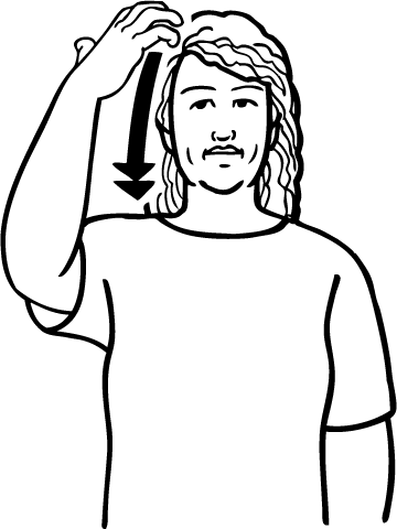 comb-5026-high_resolution.png - main