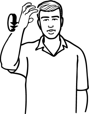 curly_hair-5032-high_resolution.png - main