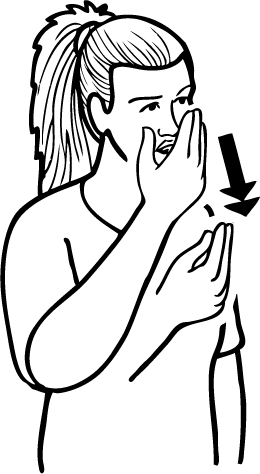 handkerchief-5042-high_resolution.png - main