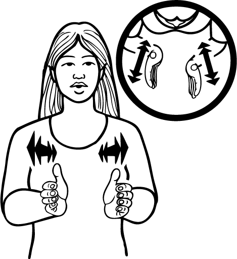 pottery-5059-high_resolution.png - main