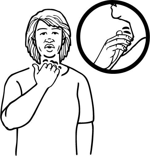 serviette-5064-high_resolution.png - main