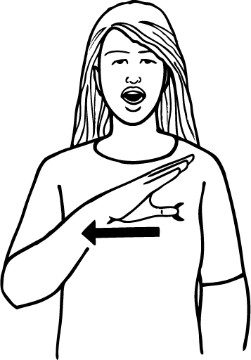 flash-5178-high_resolution.png - main