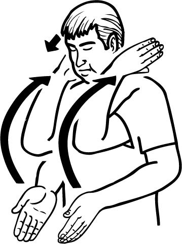 go_for_it-5183-high_resolution.png - main