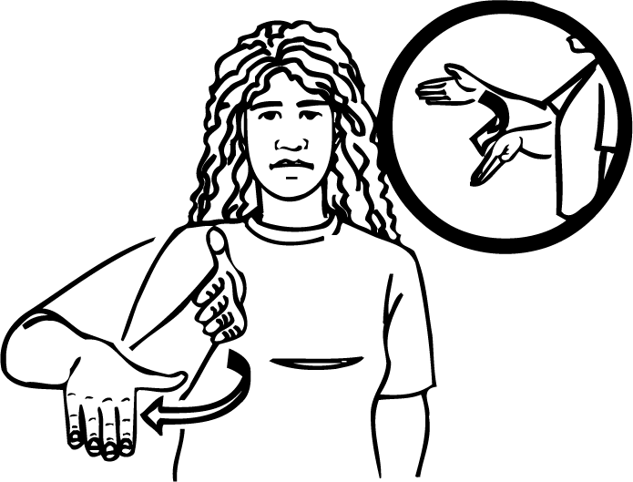 bay-521-high_resolution.png - main