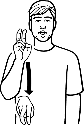 shit-5221-high_resolution.png - main