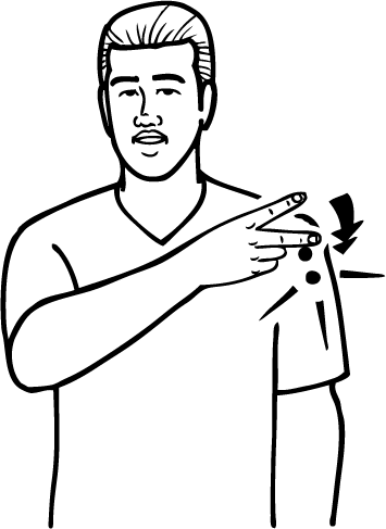 virgin-5235-high_resolution.png - main