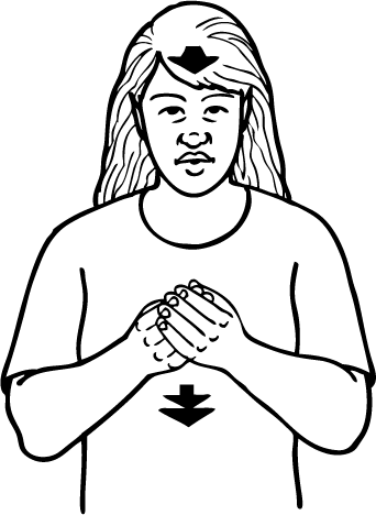 taonga-5256-high_resolution.png - main