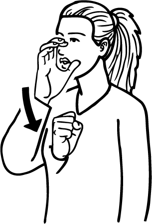 assume-5271-high_resolution.png - main