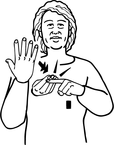 morphology-5305-high_resolution.png - main