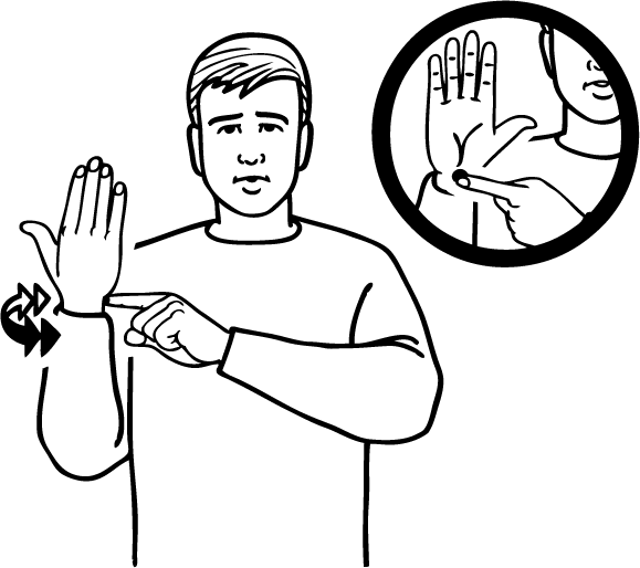 palm_orientation-5310-high_resolution.png - main