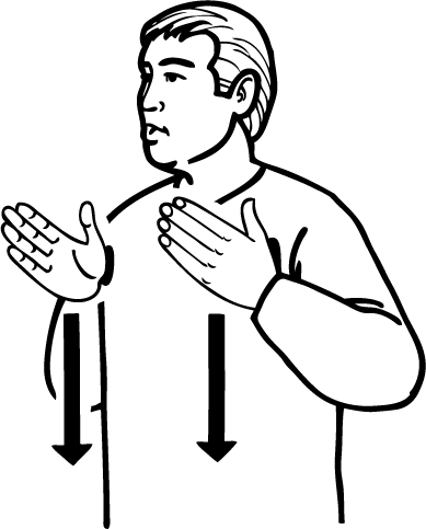 body-5356-high_resolution.png - main