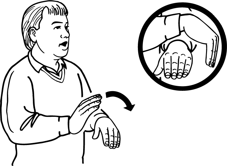 over-5415-high_resolution.png - main