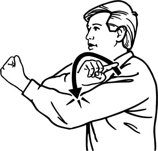 muscle-5418-high_resolution.png - main