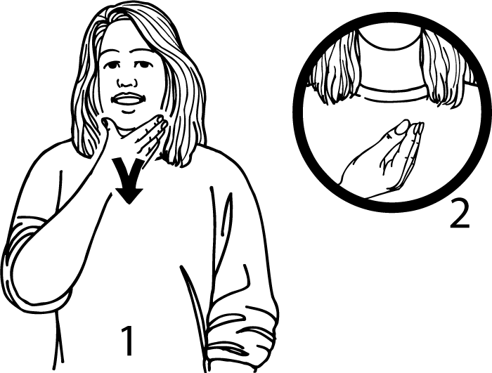 beard-5430-high_resolution.png - main