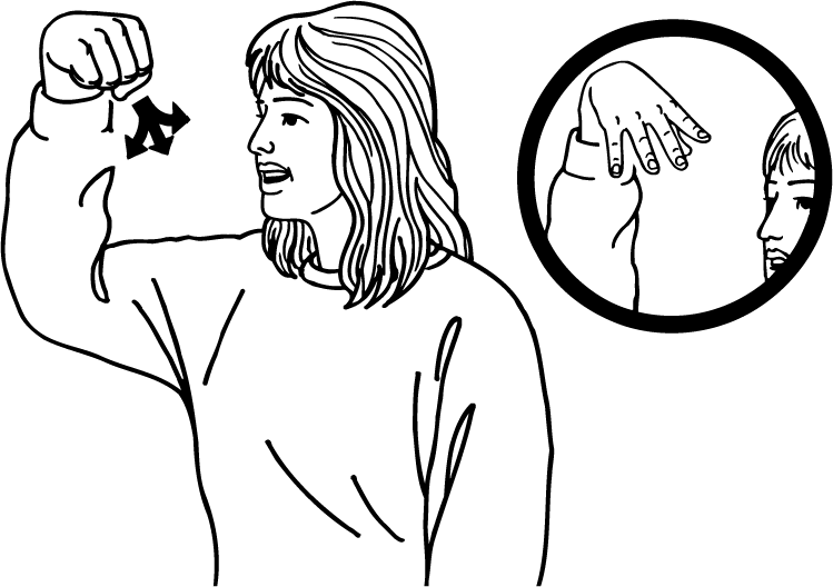 light-5440-high_resolution.png - main